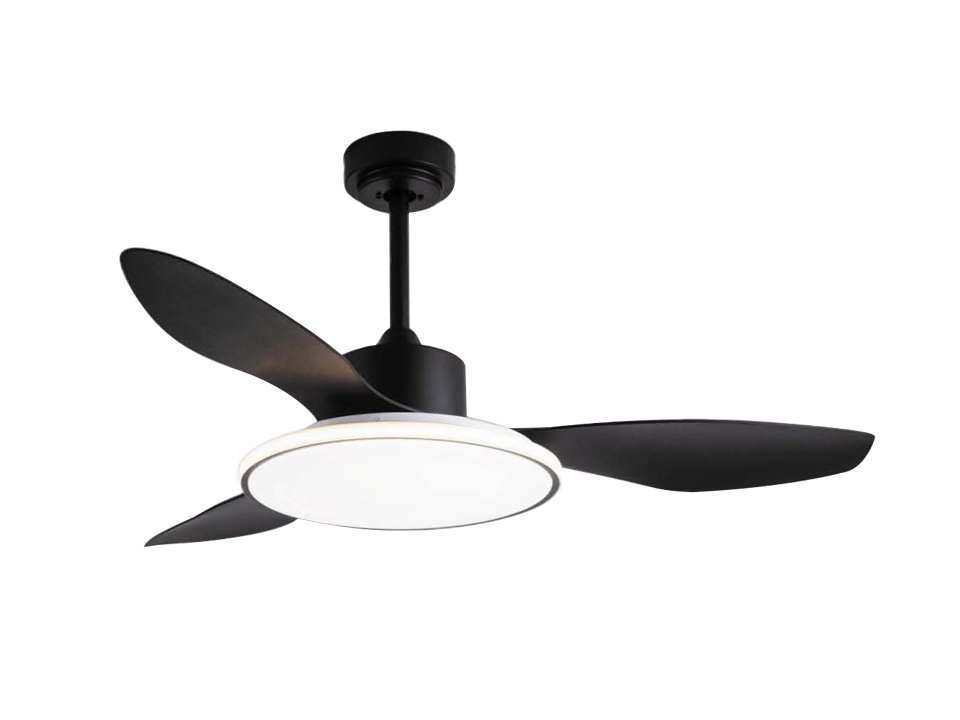 Black modern ceiling fan with light