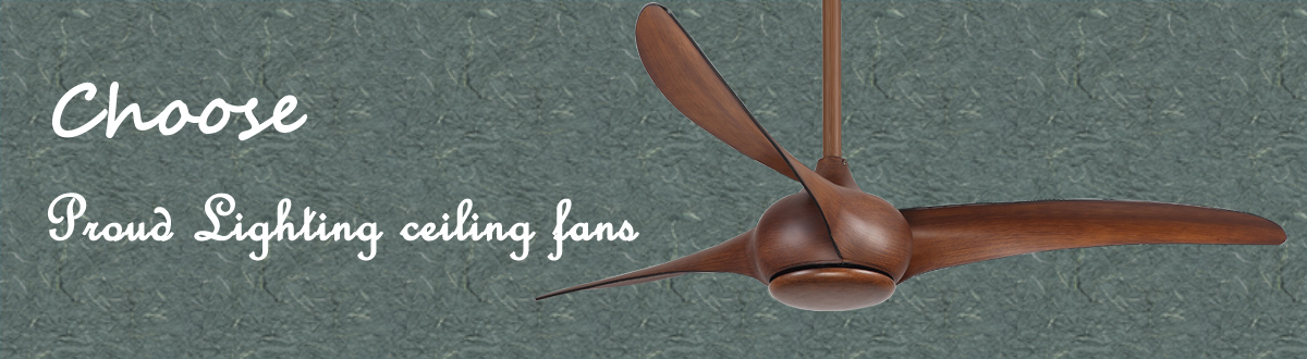 Choose proud lighting ceiling fans